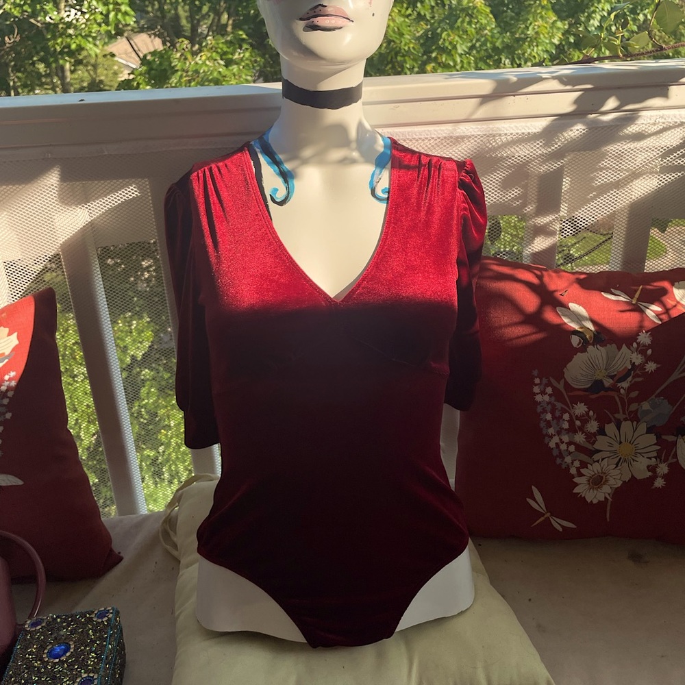 Red Velvet Leotard